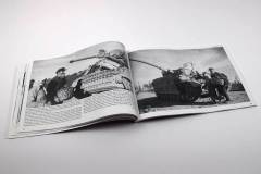 Ostfront Panzers 2. Belorussia 1943-44.