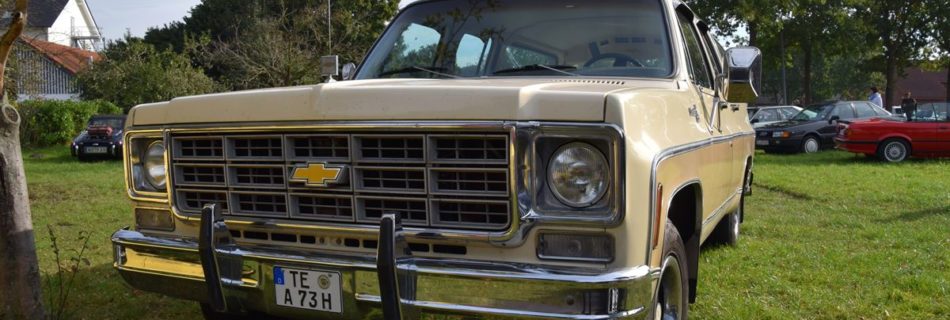 Chevrolet C10 Suburban Silverado Walkaround (AM-00395)